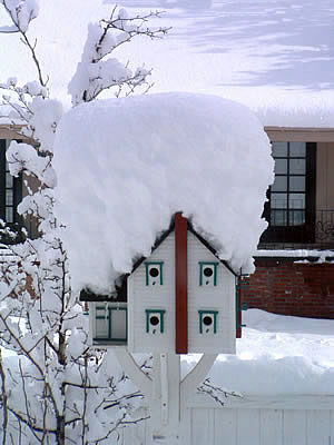 Winter bird house